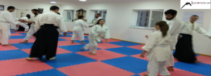 International Aikido Seminar in Aikido Meiseikai Armenia