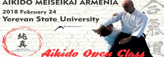 Aikido Open Class (Video)