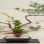 The Culture of Ikebana