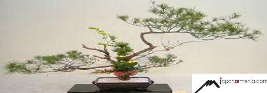 The Culture of Ikebana
