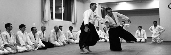 Armenian Association of Aikido